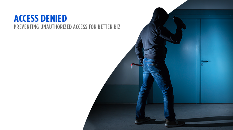 Access DENIED. Preventing Unauthorized Access for Better Biz